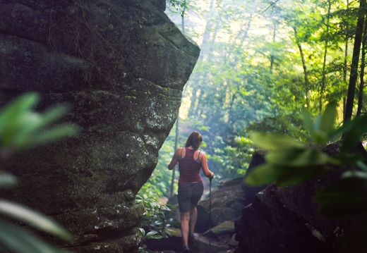 Cumberland Falls in June, 2010